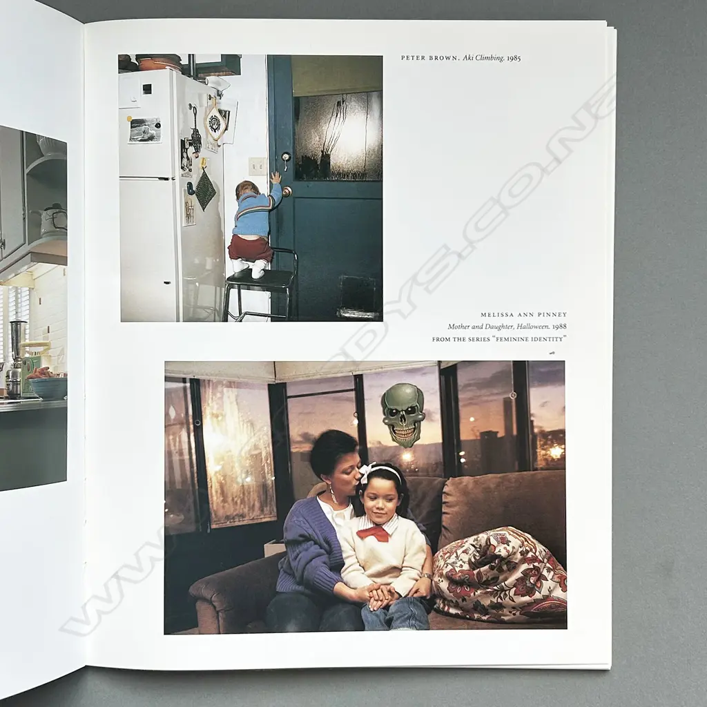 PETER GALASSI: PLEASURES AND TERRORS OF DOMESTIC COMFORT Image 1++